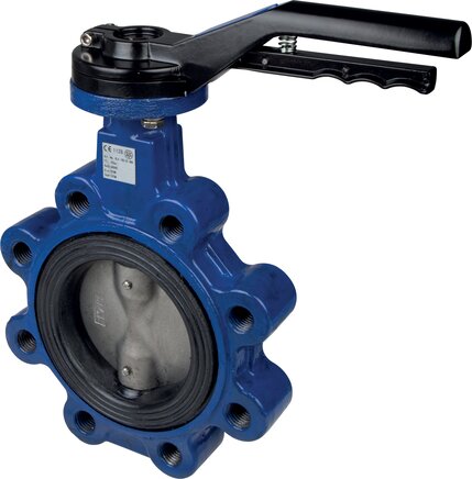 Representación de ejemplo: Flange mounted valve